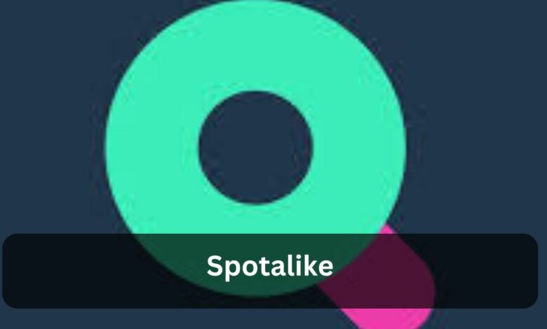 Spotalike - Everything You Need To Know!