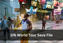 Sf6 World Tour Save File